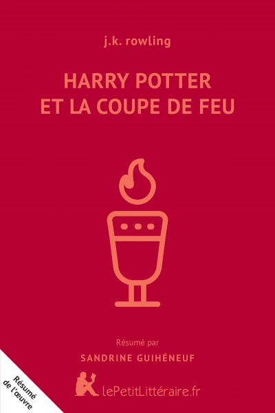 Résumé du livre :  Harry Potter et la Coupe de Feu
